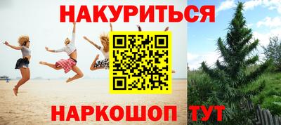 эйфоретик Новозыбков