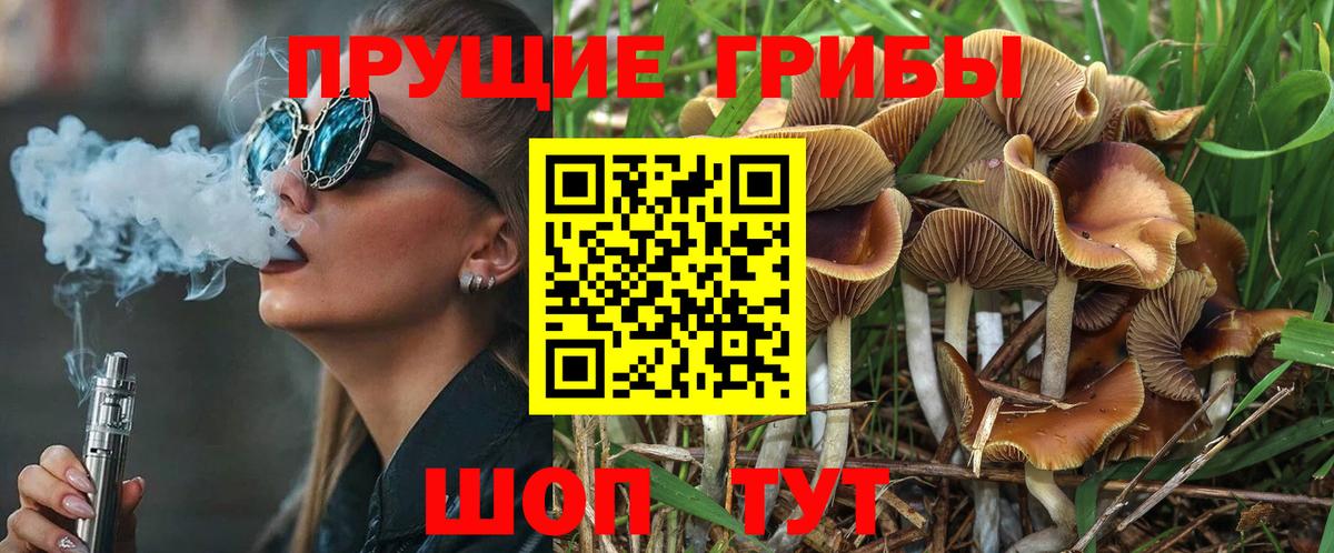 Псилоцибиновые грибы Cubensis Тула
